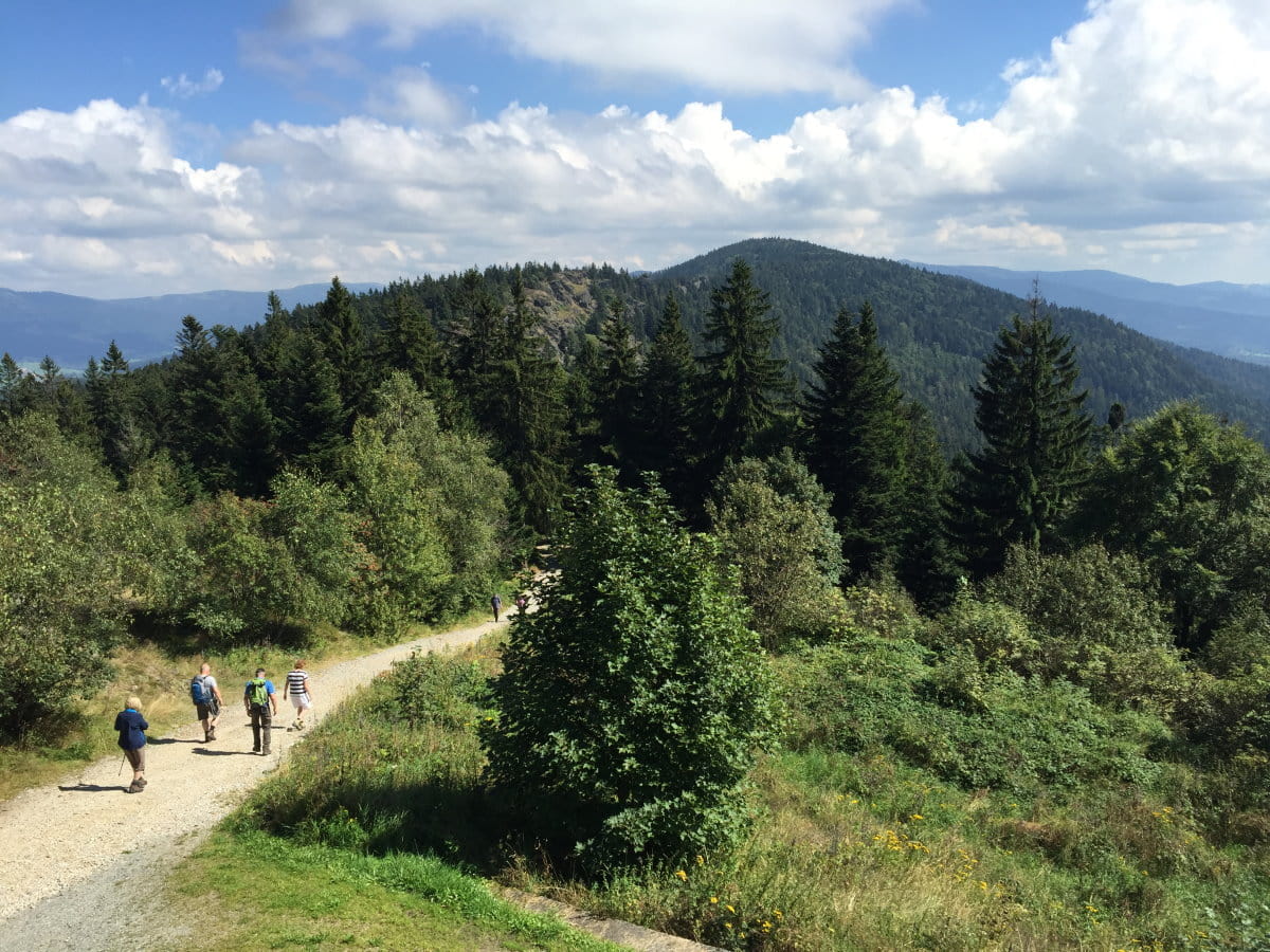 WANDERN BAYERISCHER WALD schönsten Wanderungen